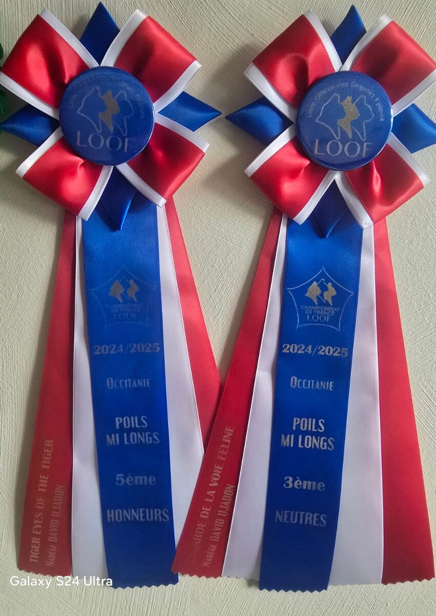 cocarde championnat de France LOOF occitanie
