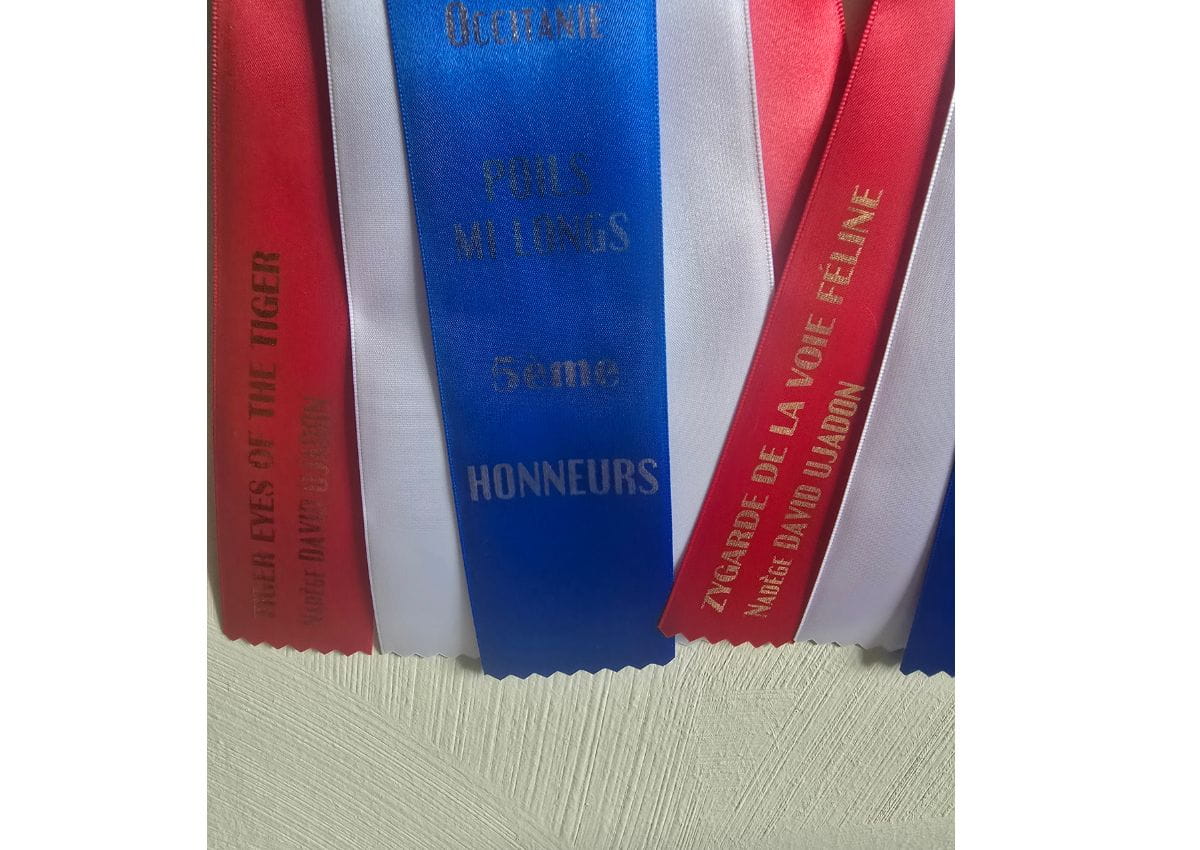 cocarde championnat de france LOOF