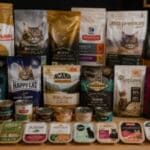 Alimentation chat