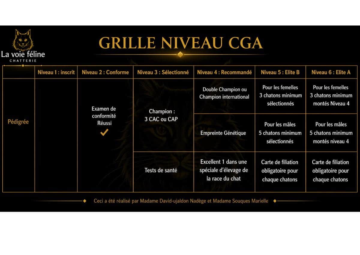 Grille niveau du chat au cga