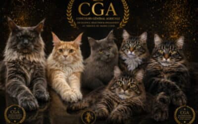 Le CGA : Concours Général Agricole et élevage félin