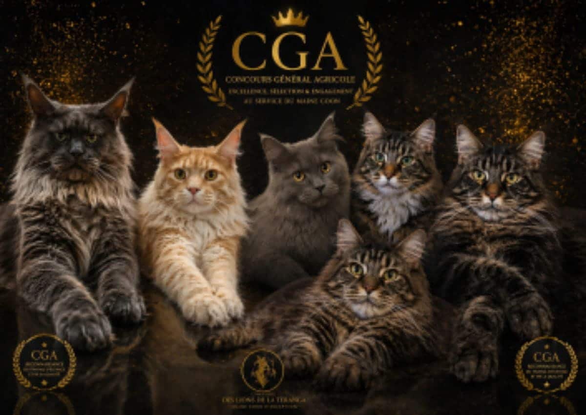 Cga-concour-général-agricole