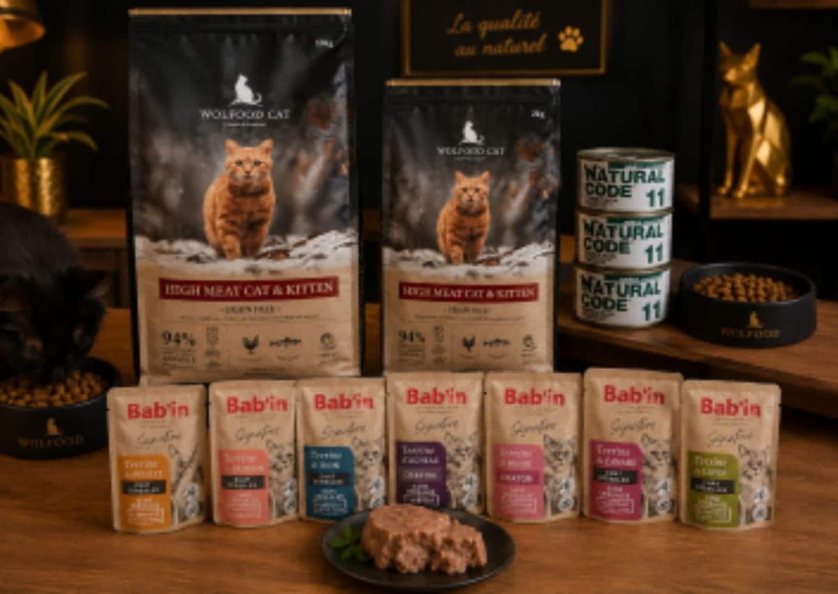 Alimentation à la chatterie de la voie féline