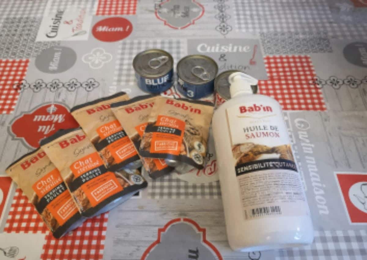 croquettes ou terrine ou un mix